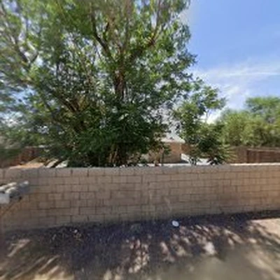 Golden Oak Tree Experts