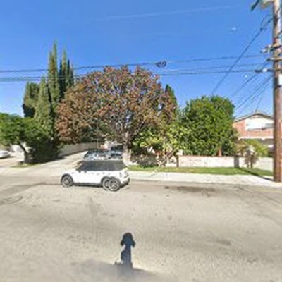 Escobedo Tree Service