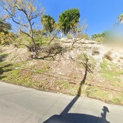 Sherman Oaks Tree Service