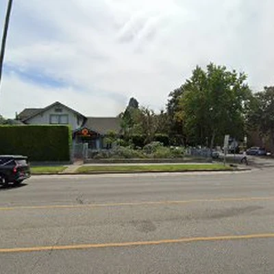Los Angeles Tall Trees Services
