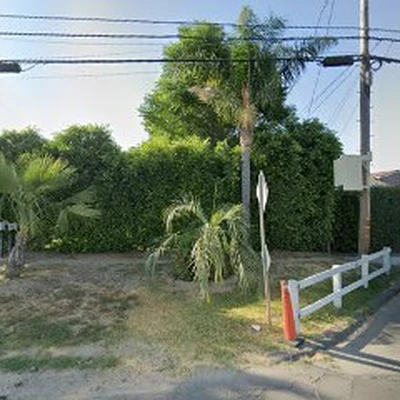 Certified Tree Care