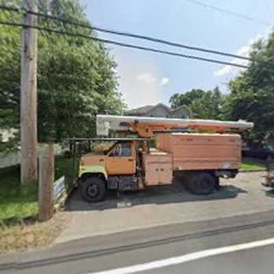 A & W Tree Services