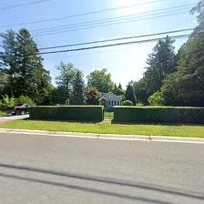 Mark Brummer's Tree Service