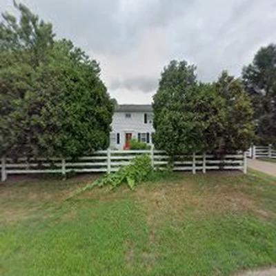 NJ Tree Surgeons