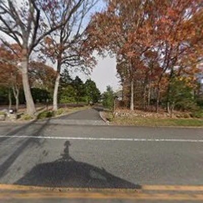 Arbor Care Tree Service