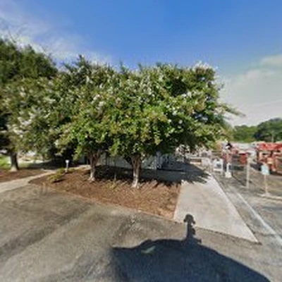 Schneider Tree Care