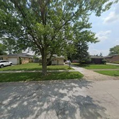 Pinzon tree service