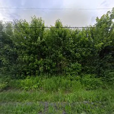 Evans Tree Care