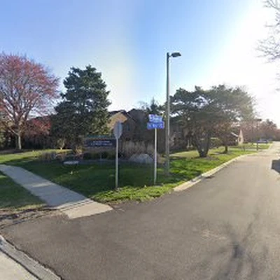 Tree Service Professionals