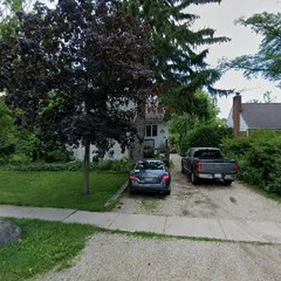 Broadleaf Tree Care