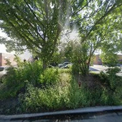 Hendricksen Tree Care Co.
