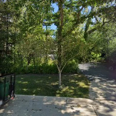 Superior Tree Service Inc