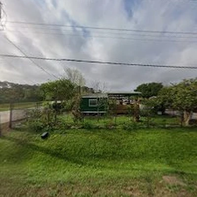 Green Trees Lawn & Special Services