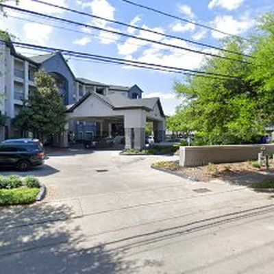 Platinum Tree Service Pros Houston
