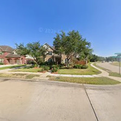 Pearland Tree Solutions