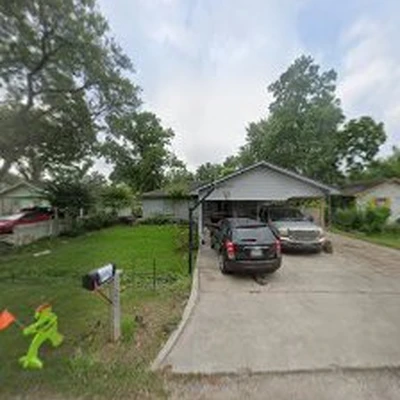 Aldine Tree Services Houston Stump Grinding