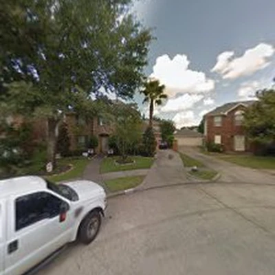 Houston Arbor Care Tree Service