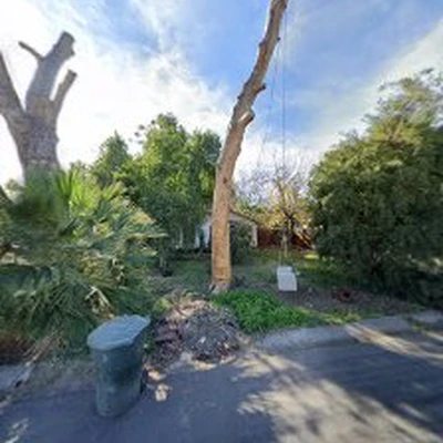 Arborvision Tree Service