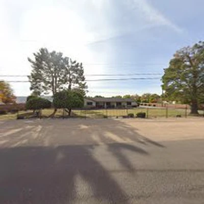 The Oasis Tree Service