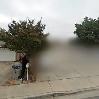 Valencia Tree Service