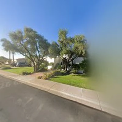 Woods Tree Trimming