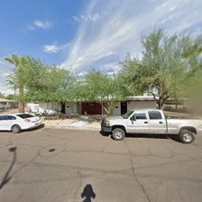 AZ Palm Trimmers