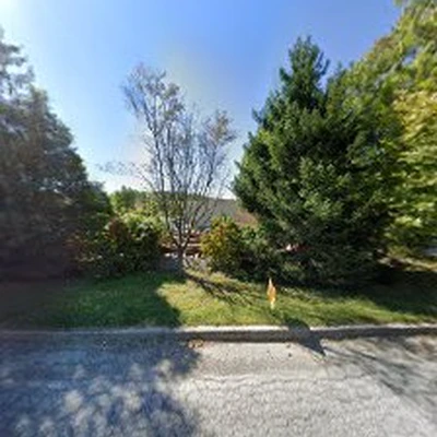 Springfield - Tree Cutting Services, Delaware PA