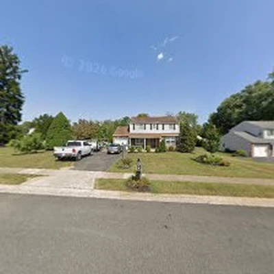 Fine Tree Care Ltd