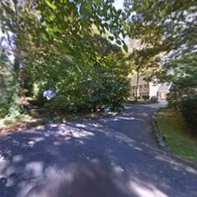 Tesla Tree Service