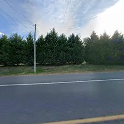 Bartlett Tree Experts