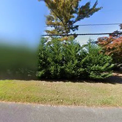 B & C Tree Service Inc.
