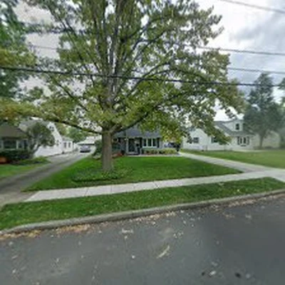 RT Tree Service LLC