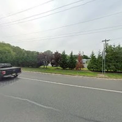 E-Z Tree Care and Removal Service - South Jersey