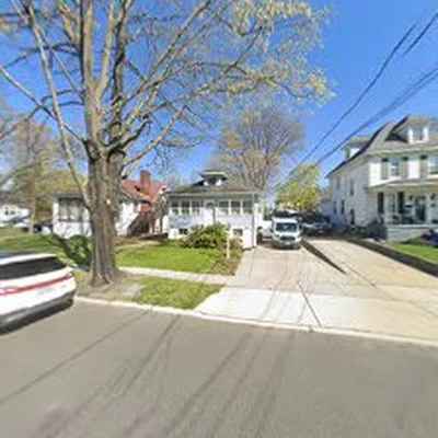 Dave's Tree Services