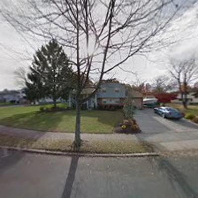 T&D Tree Service