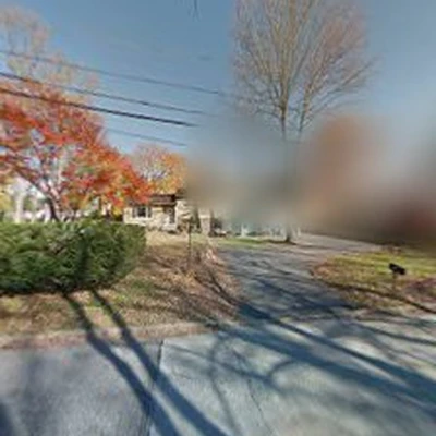 Flynn Tree Services