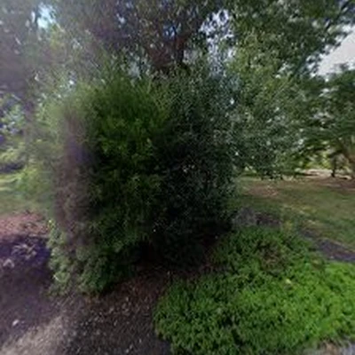 Arbor Tree Landscape & Design Services