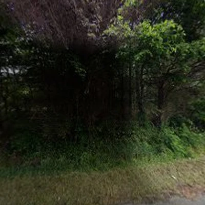 Cedar Creek Tree Removal