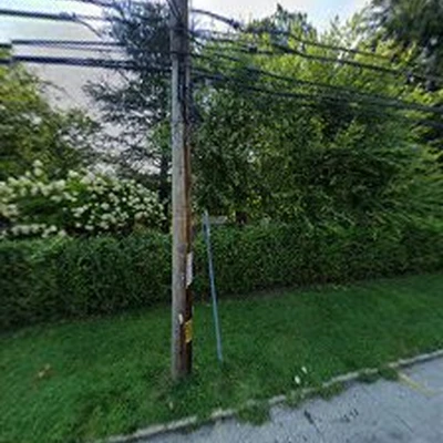 Cox & Company Inc Tree and Landscape Services
