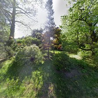 Lewis Tree Care Inc