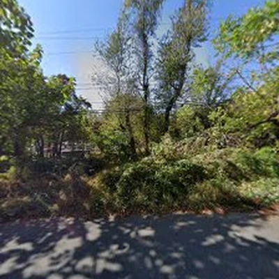 Norman Tree Service INC