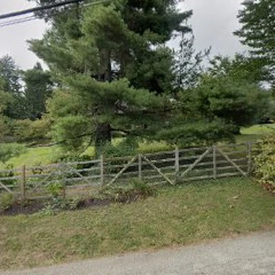 Jansen Tree Experts