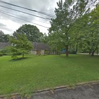 Big A Stump Removal & Tree Services