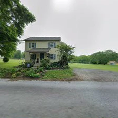 Snyder & Sons Tree Surgeons