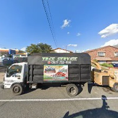 Progressive Discount Tree Service