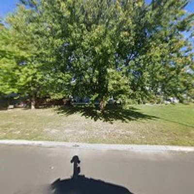 Alex y lester lawn tree care