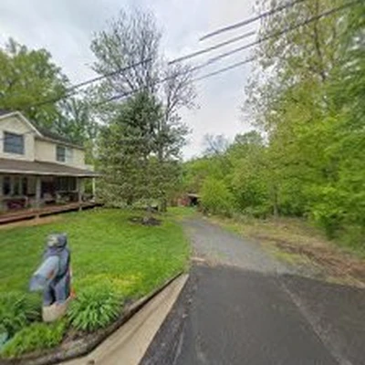 American Outdoors Expert Tree Service