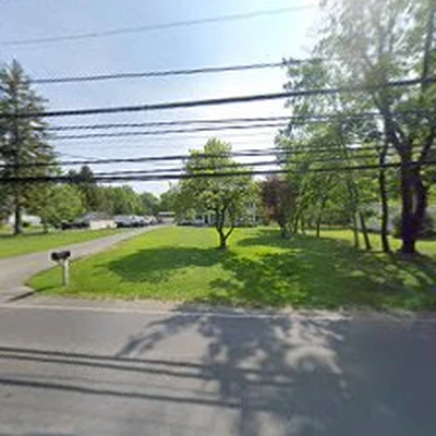 Tree Lion LLC - Tree Services