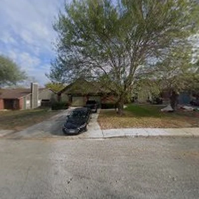 All Arbor Tree Trimming San Antonio