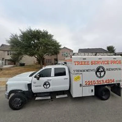 Tree Service Pros